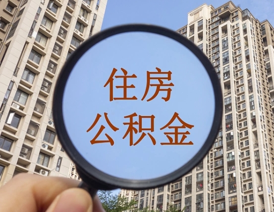 茌平退休后查不到公积金明细了吗（退休后公积金查询不到原因）